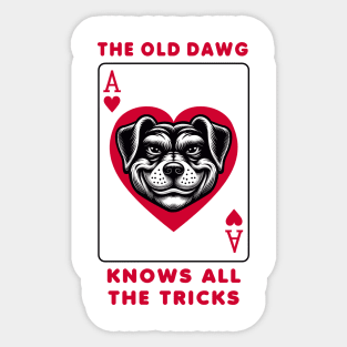 Unique Ace of Hearts Dog T-Shirt, Graphic Playing Card Tee, Old dawg Knows All Tricks Shirt Sticker